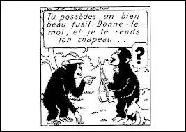 Quelle est cette race de singe ?