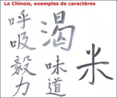 Dans quel pays parle-t-on le mandarin ?