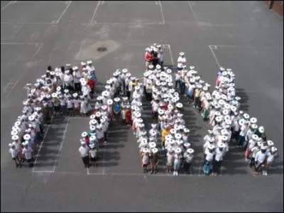 Quel oiseau symbolise la paix ?