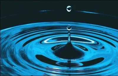 Qu'est-ce qui avance  1 224 km/heure ?