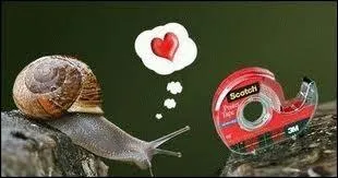 Bande le plus souvent collante sur une face, mais parfois double-face, conditionne sur un drouleur pour faciliter son usage. Je suis :