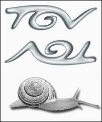 Attention : Escargot  l'envers, a s'crit comment ? (Maintenant c'est sr que vous le voyez l'escargot de TGV ! )