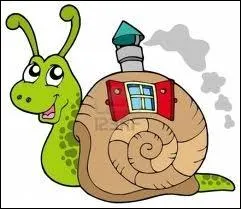 Par analogie, on raconte aux enfants que l'escargot porte sur son dos ...