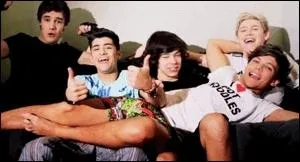Qui a choisi  One Direction  comme nom ?