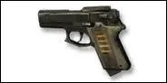 Quel est le nom de cette arme ?