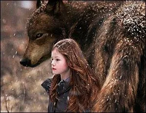  la fin du film, Alice voit Renesme heureuse avec :