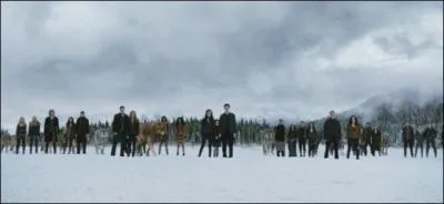 Comment les Cullen font-ils pour combattre les Volturi ?