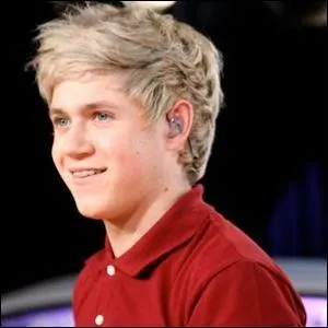 Quel est le surnom de Niall ?