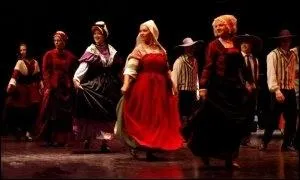 On y danse la bourre entre les doux paysages du Bocage Bourbonnais et les plaines de la Limagne. O se trouve Gannat ?