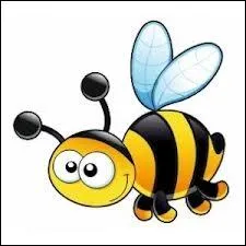 Combien d'abeilles peut-il y avoir dans une ruche ?