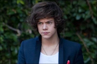 Quelle est la particularit d'Harry Styles ?