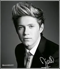 Niall n'a lu qu'un seul livre dans sa vie. Comment s'appelle-t-il ?