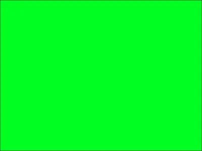 Comment dit-on vert en Allemand ?