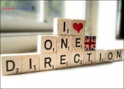 Quel a t leur premier single officiel ?