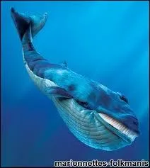 La baleine bleue est le plus gros animal vivant sur la Terre. Combien pse sa langue ?