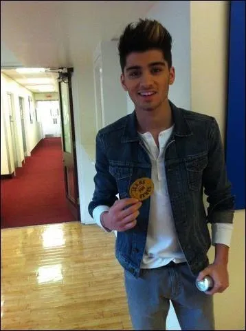 Comment s'appelle la soeur ane de Zayn ?