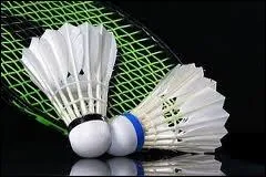 En quelle année le badminton est-il devenu un sport olympique ?