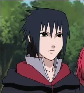 Comment est mort Sasuke ?