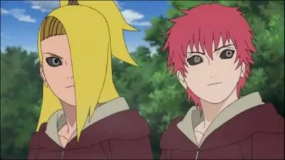 Qui accompagnait Sasori, Deidara et Shin ?