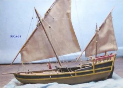 Verbes et vocabulaire : Bien que sa silhouette (... ) celle des (... ) ou (... ) de la mer Rouge