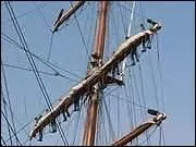 Orthographe : - son (... ) était tout autre.