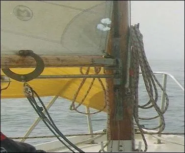 Orthographe et genre : - dont (... ) en pitchpin, pivotait autour du mât,