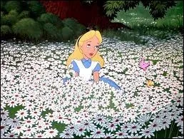 Quel type de fleur dirige l'orchestre floral dans  Alice au pays des merveilles  ?
