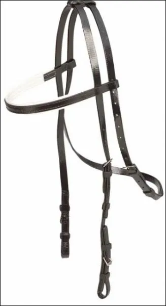 Le frontal se glisse dans la ttire.