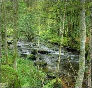 La  Vologne , petite rivire paisible franaise s'est retrouve au centre de quelle clbre affaire criminelle ?