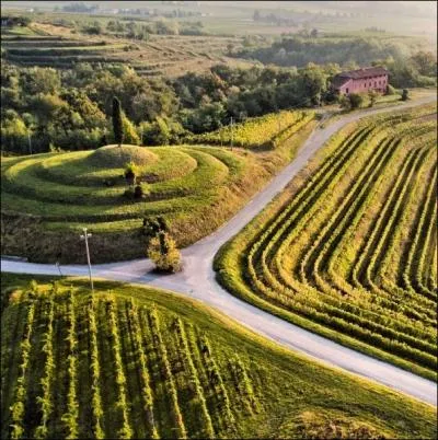 La ville d'Udine fonde en l'an 983, est la capitale historique de quelle ancienne province d'Italie ?