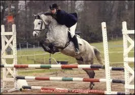 Lors du plan, pour sauter un obstacle il faut :