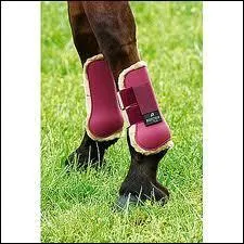 Comment s'appellent les protections que l'on met sur les antrieurs ?