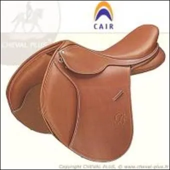 Cette selle porte le nom de :