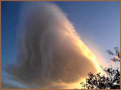 Je suis un vent chaud et humide.