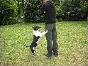 Pourquoi saut-il aprs les gens ?