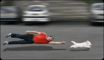 Pourquoi tire-t-il sur sa laisse ?