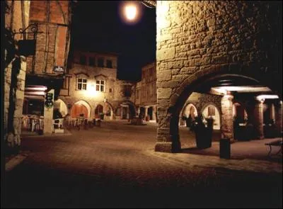 Dans quel dpartement est situe la bastide de Castelnau-de-Montmiral ?