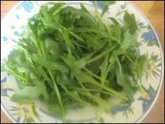 Pour accompagner le fromage voici quelques feuilles de :