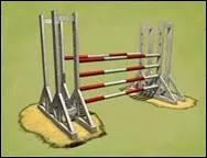 Quel est le nom de cet obstacle-ci ?