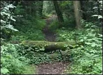 Et cet obstacle de cross, quel est son nom ?