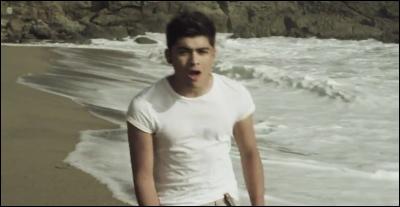 Zayn ne sait pas nager mais qui irait-il sauver si il ou elle venait  se noyer ?
