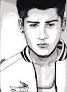 Que sait faire Zayn ?