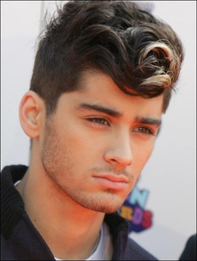 Quel est l'animal prfr de Zayn ?