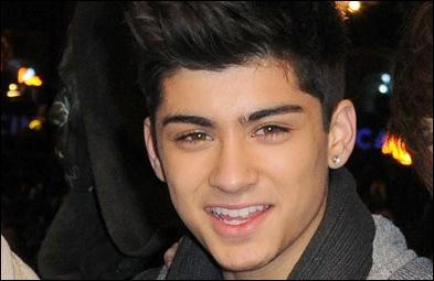 Si Zayn tait un animal lequel serait-il ?