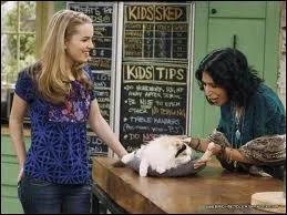 Comment s'appelle ce chat et  qui appartient-il ?