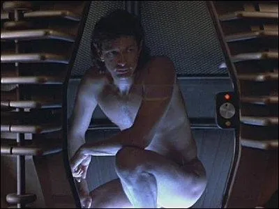 Quel est ce film de David Cronenberg avec Jeff Goldblum ?