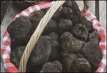 Le marché du Terroir de Lalbenque s'ouvre du 4 décembre 2012 au 12 mars 2013. Nous sommes bien sûr dans le Lot. Sur quel Causse nous situons-nous ?