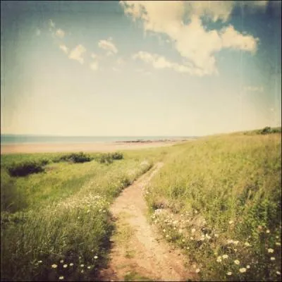 Qui n'a pas jou dans ce film ?