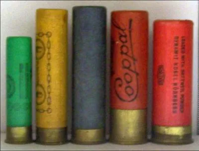 Qui n'a pas jou dans ce film ?