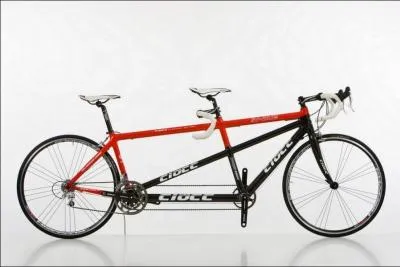 Qui n'a pas jou dans ce film ?